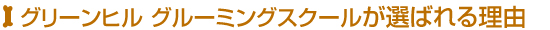 グリーンヒル グルーミングスクールが選ばれる理由